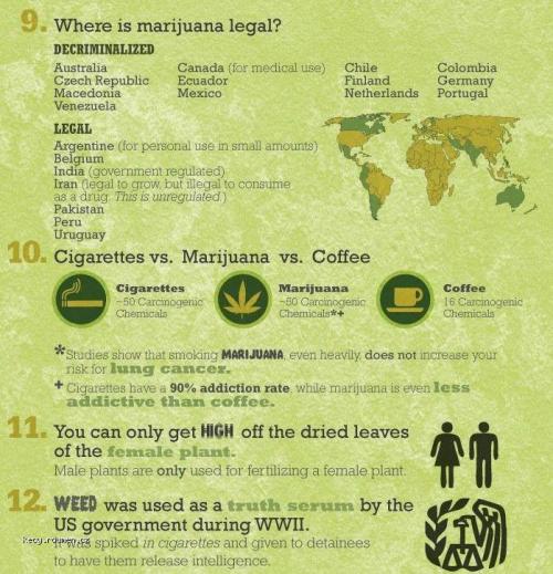  15 veci o marihuane 3 