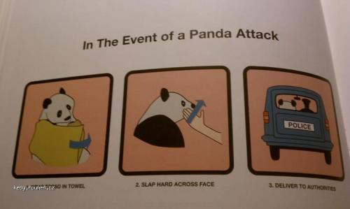 In Case of Panda