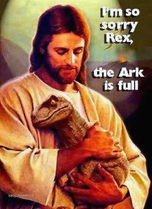  sorry rex 