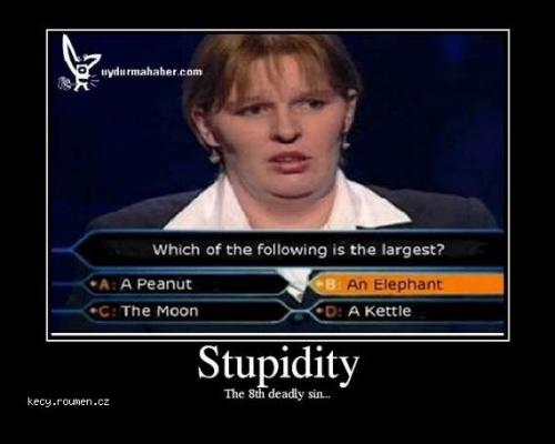 stupidity10