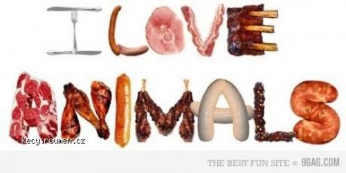  love animals 