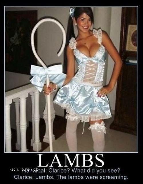 Lambs