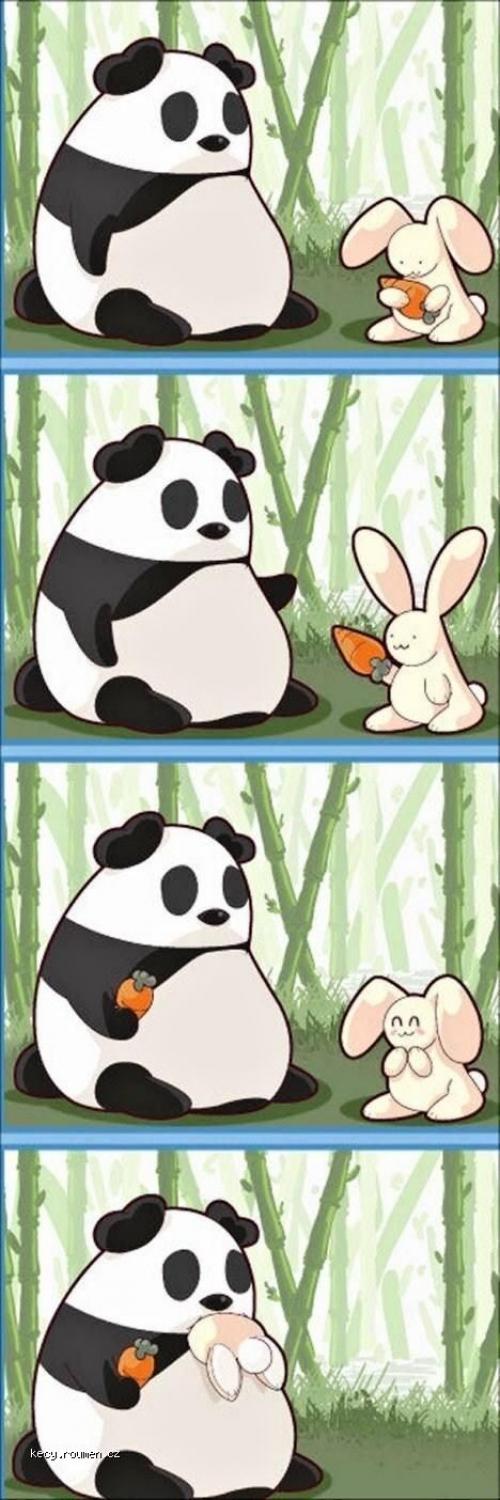  Panda cartoon 