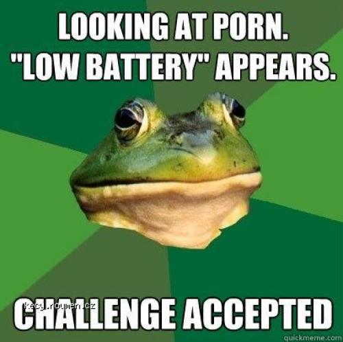  challenge accepted frog 