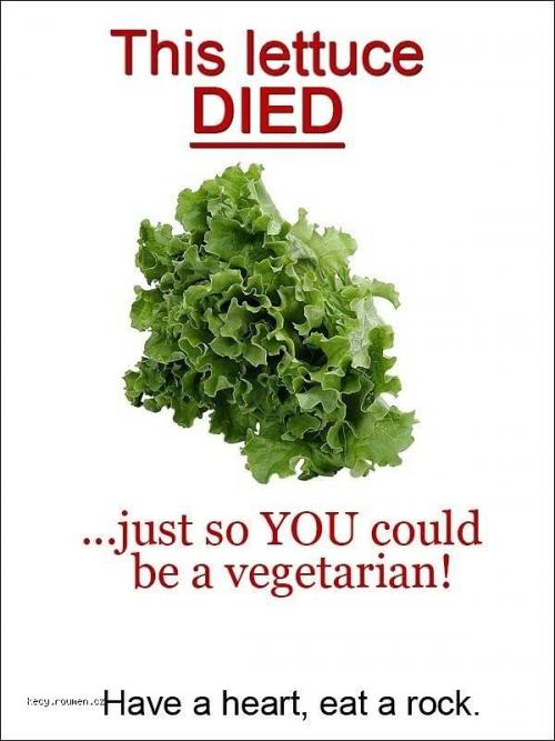 X Send this to your vegetarian friends