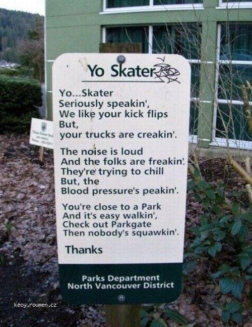  Yo Skater 