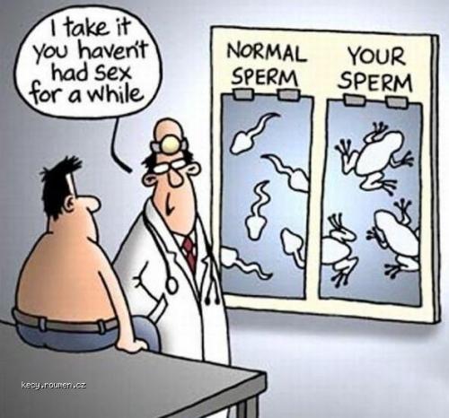 Daily cartoon  sperm
