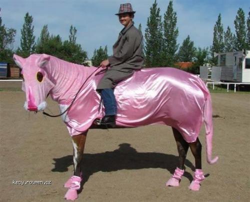  pink horse 