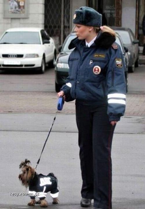  Russian police dog 