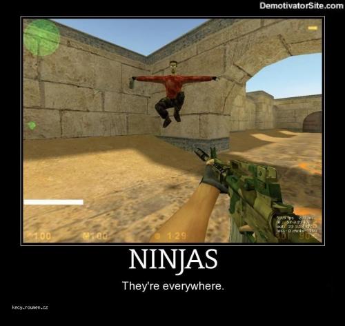 ninjas are 