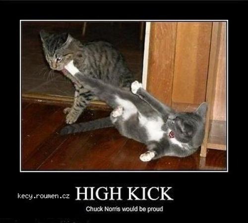  X High Kick 