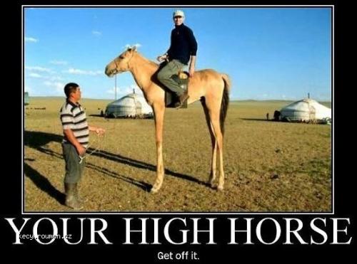  Your high horse 