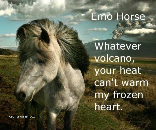  Emo Horse 