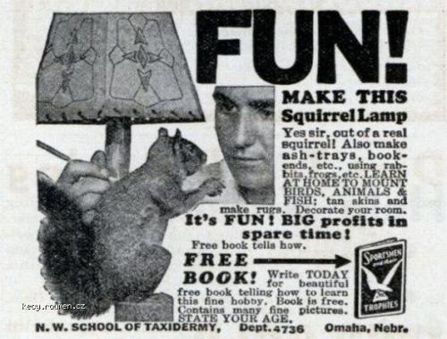  squirrel lamp 