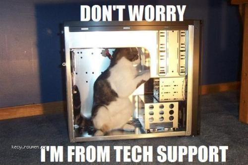 techsupport cat