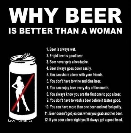  X Why Beer Is Better Than A Woman 