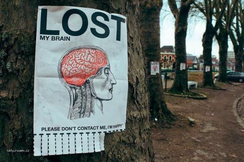  lost brain 
