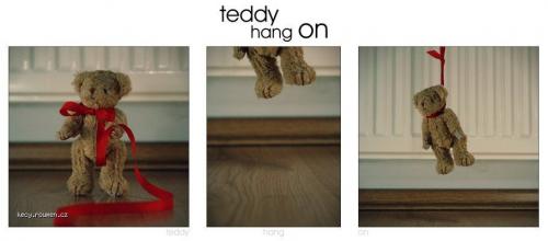  teddy hang on 