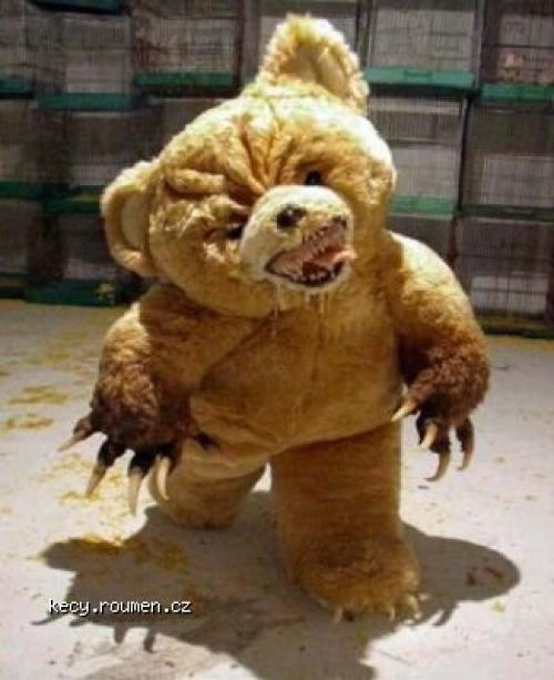  killer teddy bear 