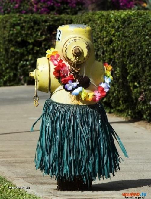  hula hula hydrant 