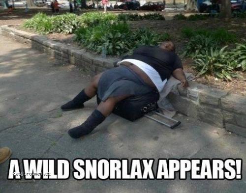  A wild snorlax 