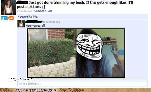 Her bush