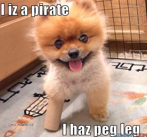 I iz a pirate