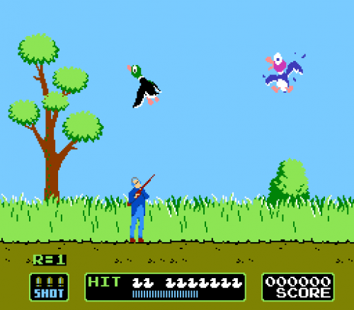 duck hunting 