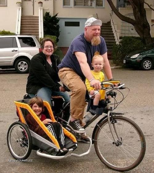  bike sidecart 