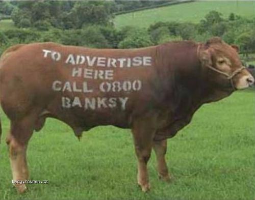  reklamni kravy 