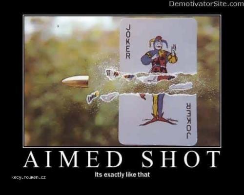  aimed shot 