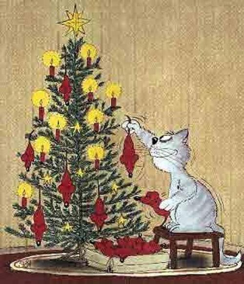Jak vypadá kočky vánoční stromeček?