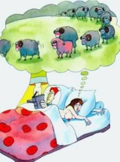 Jak ženy počítají ovečky před spaním