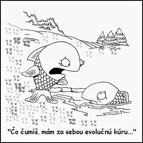 Evoluční kúra pro ryby