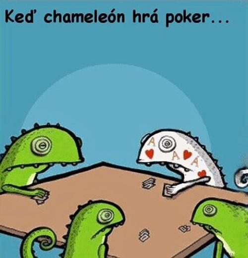 Jak vypadá poker mezi chameleóny