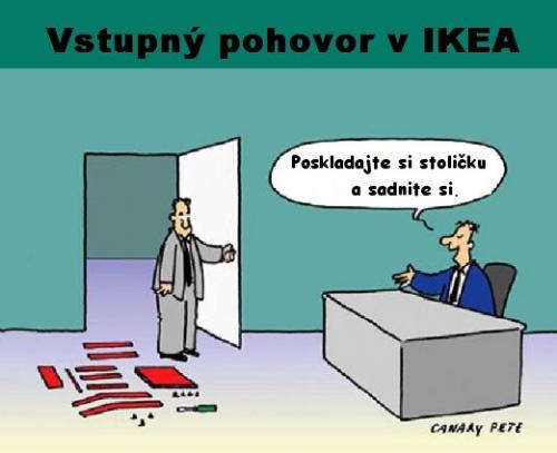 Vstupní pohovor v IKEA