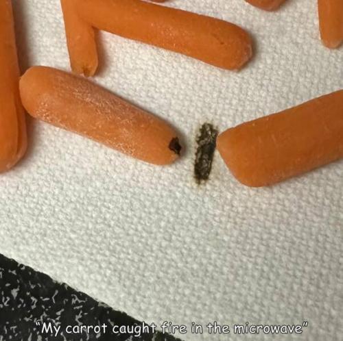 Obrázek č. 1324787