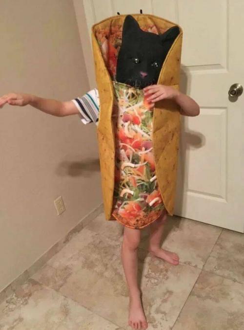 Obrázek č. 1325251