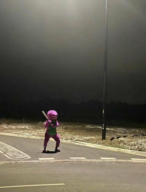 Obrázek č. 1325250