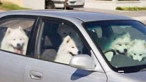 Obrázek č. 1325252