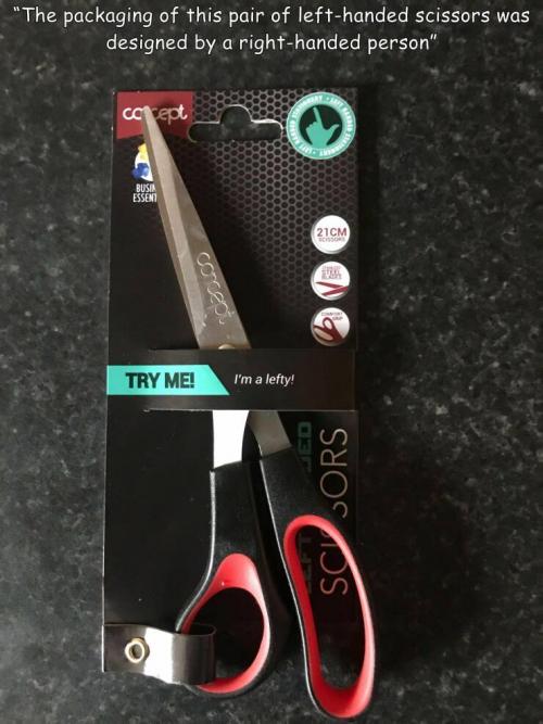 Obrázek č. 1325580