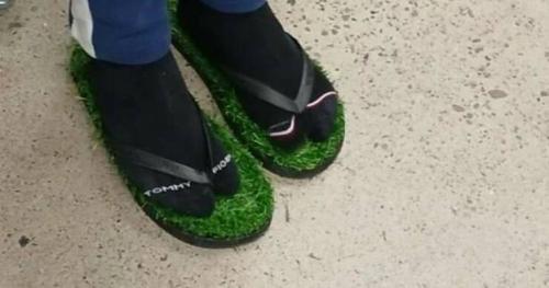 Obrázek č. 1325582