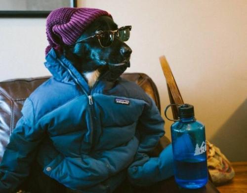 Obrázek č. 1325571