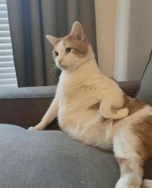 Obrázek č. 1327915