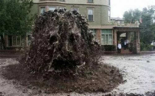 Obrázek č. 1332620