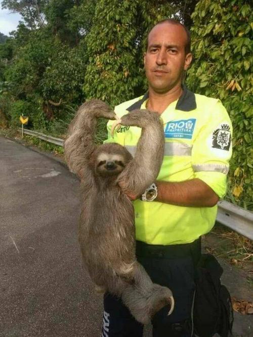 Obrázek č. 1334563