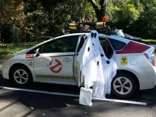Obrázek č. 1335240