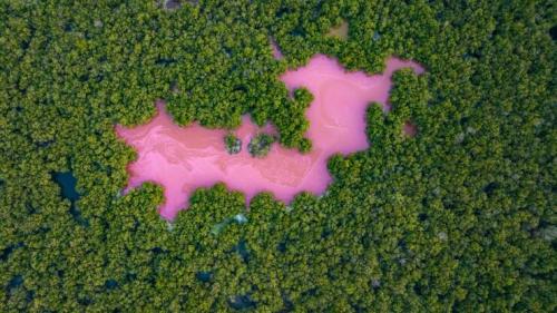 Obrázek č. 1340832