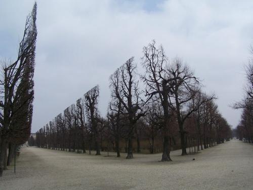 Obrázek č. 1013259