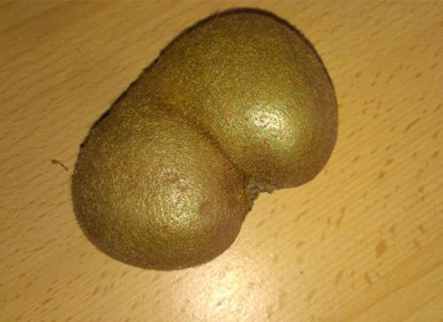 Obrázek č. 1013606